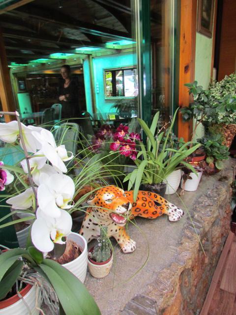 Hotel Belvedere Sarajevo Ngoại thất bức ảnh